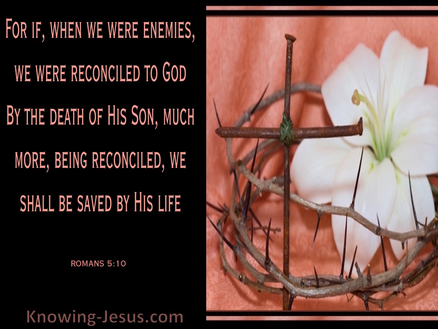 Romans 5:10 Reconciled And Saved (brown)